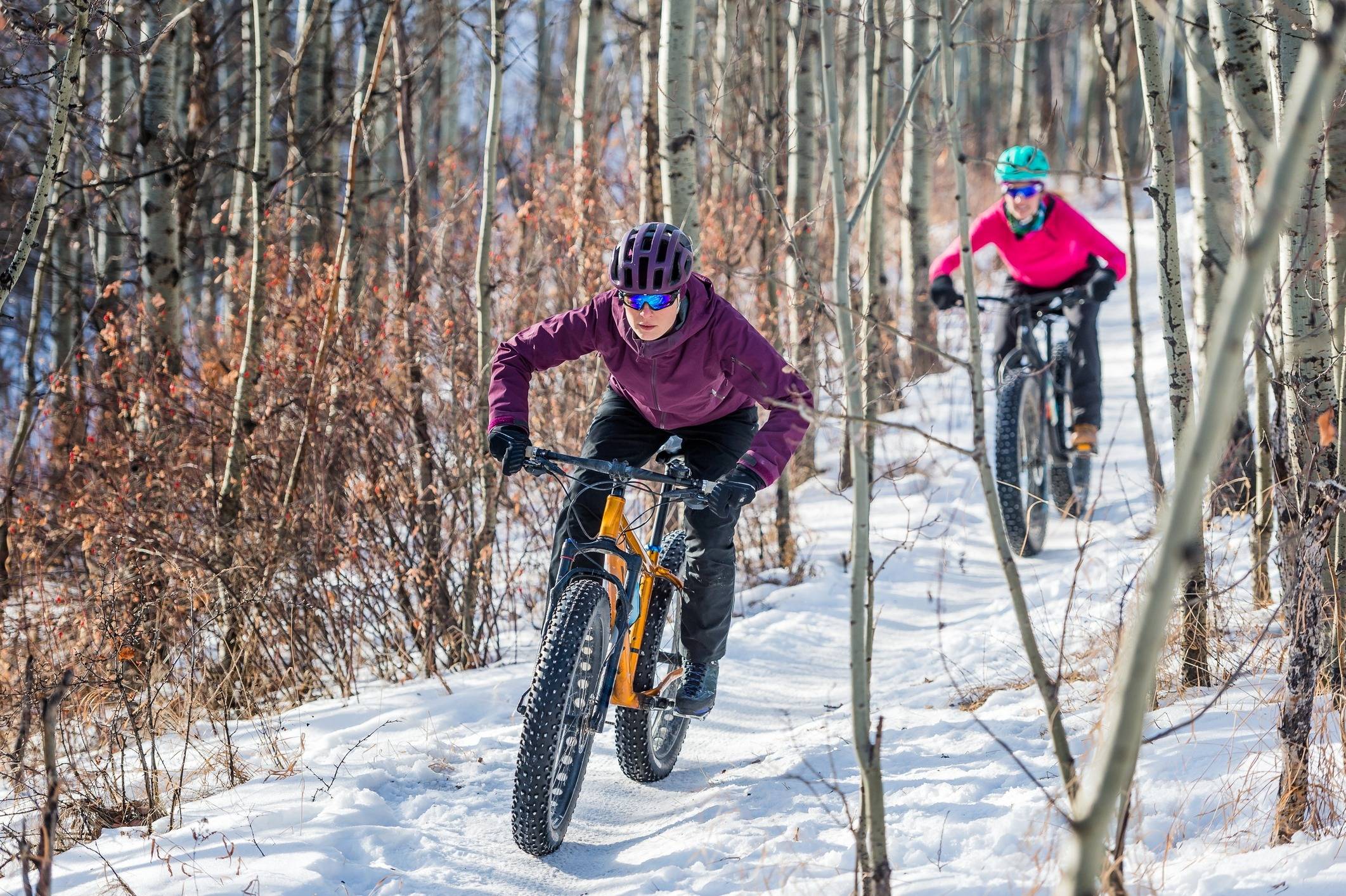 Your Guide to Biking in Winter: Everything You Need to Know to Ride Through the Cold