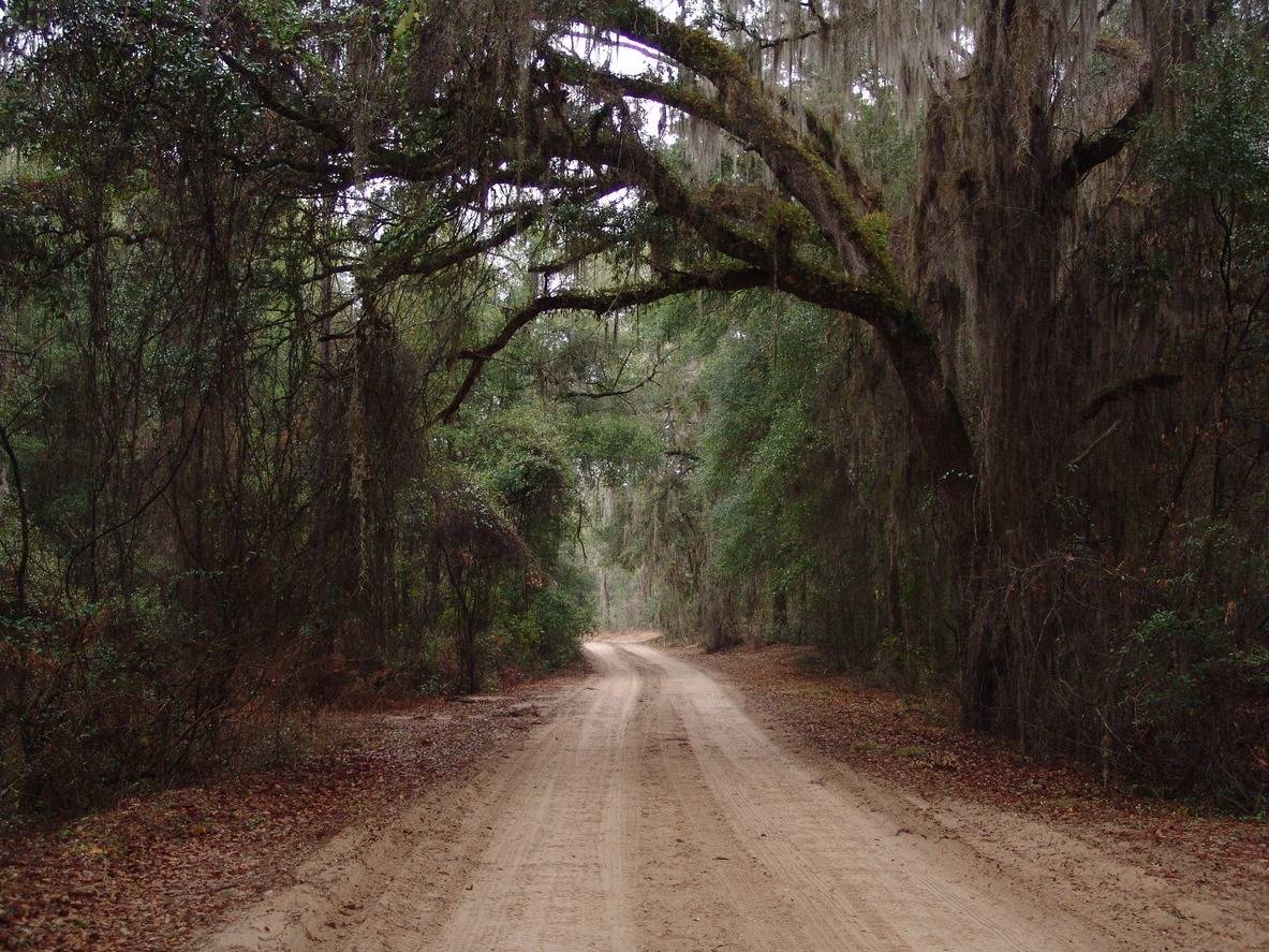 Bike Trail Travels: Florida
