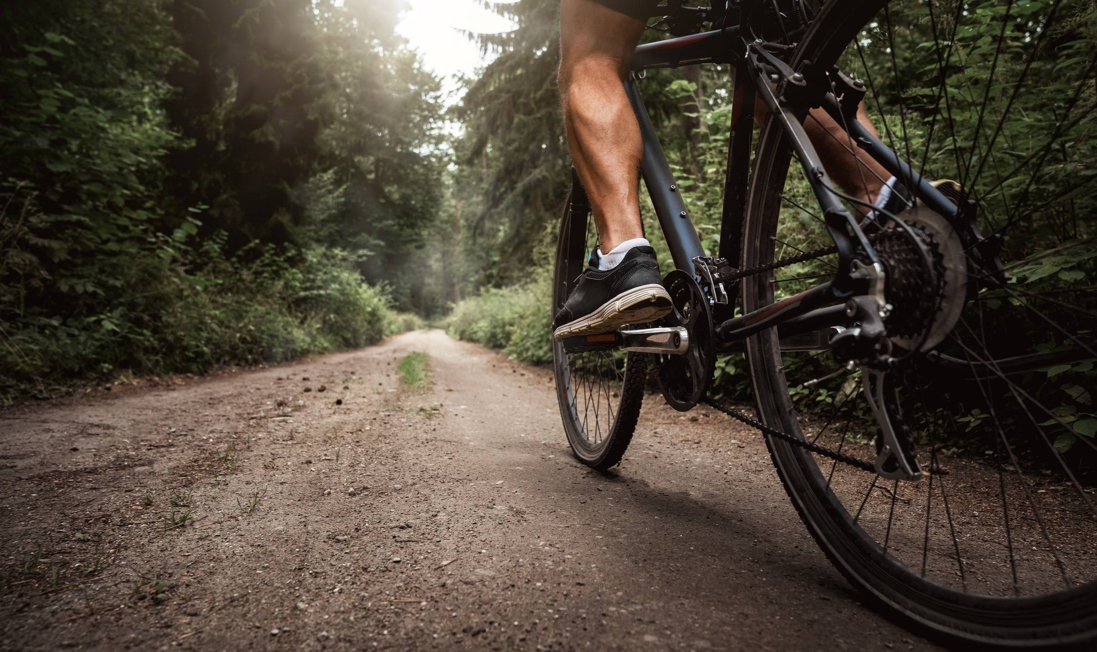 Strengthening Exercises for Cyclists: Build Power On and Off the Bike